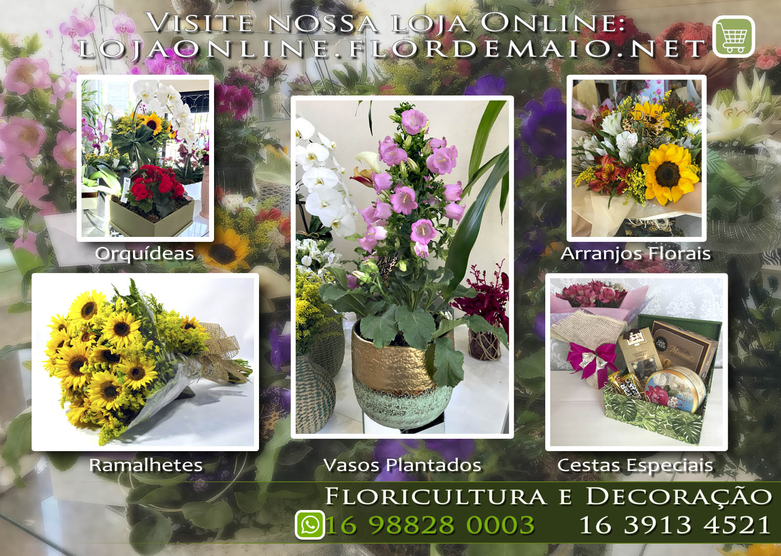Flor de Maio Floricultura e Decoração Ribeirão Preto - 